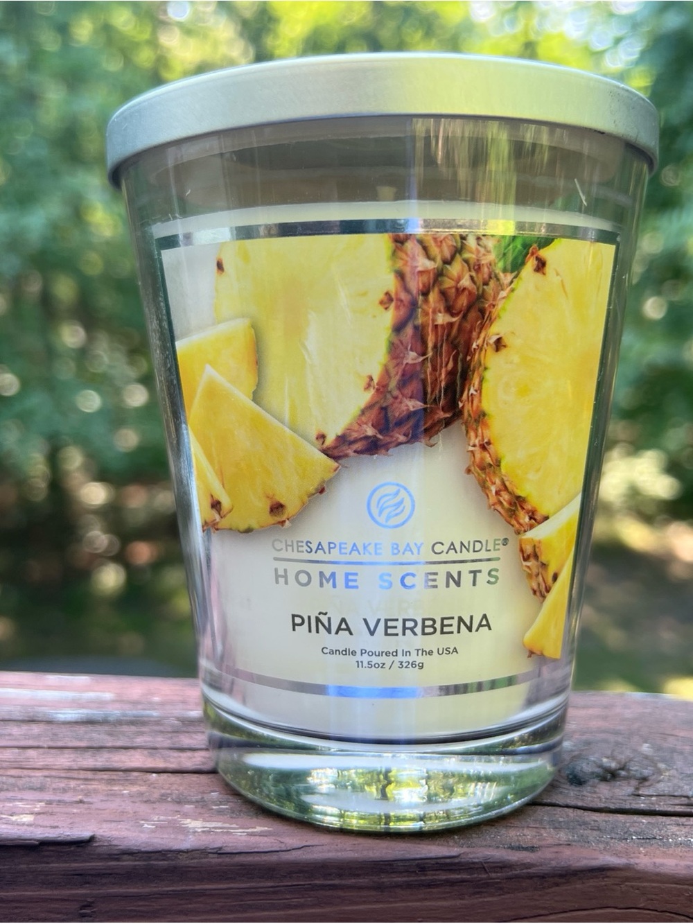 Chesapeake Bay Single Wick Candle Home Fragrance Scent Pina Verbena, USA|11.5 oz